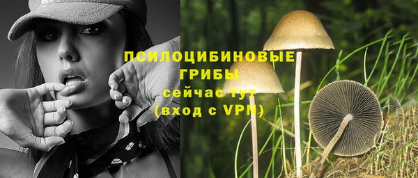 ALPHA PVP Алексин